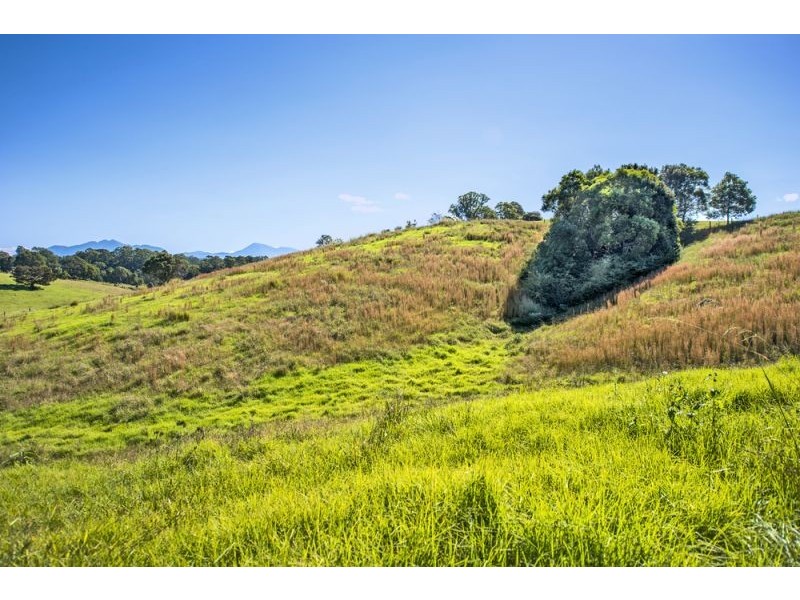 137 North Bank Road, Bellingen NSW 2454