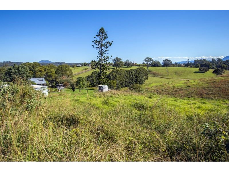 137 North Bank Road, Bellingen NSW 2454