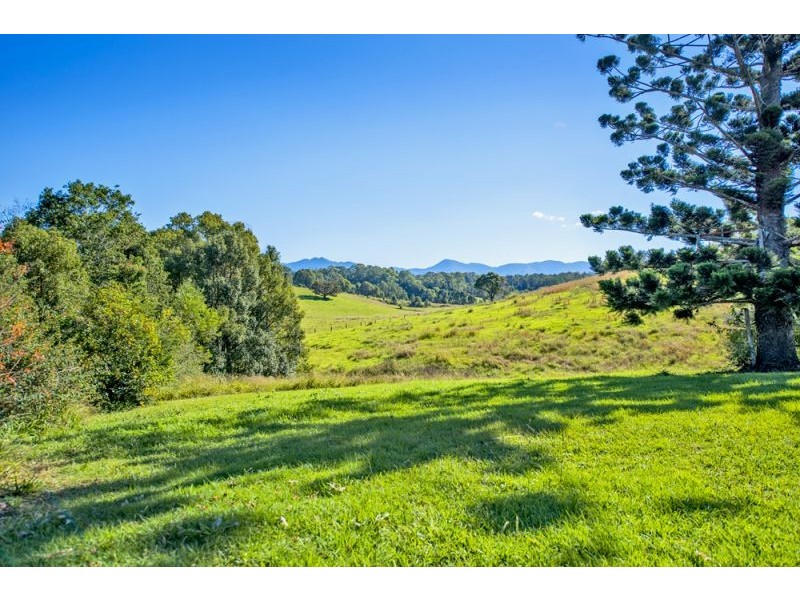 137 North Bank Road, Bellingen NSW 2454