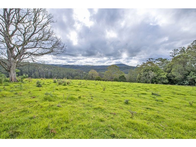180 Johnsens Road, Dorrigo NSW 2453