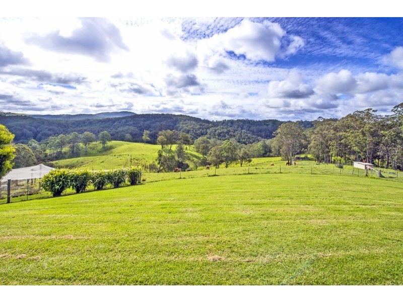 180 Johnsens Road, Dorrigo NSW 2453