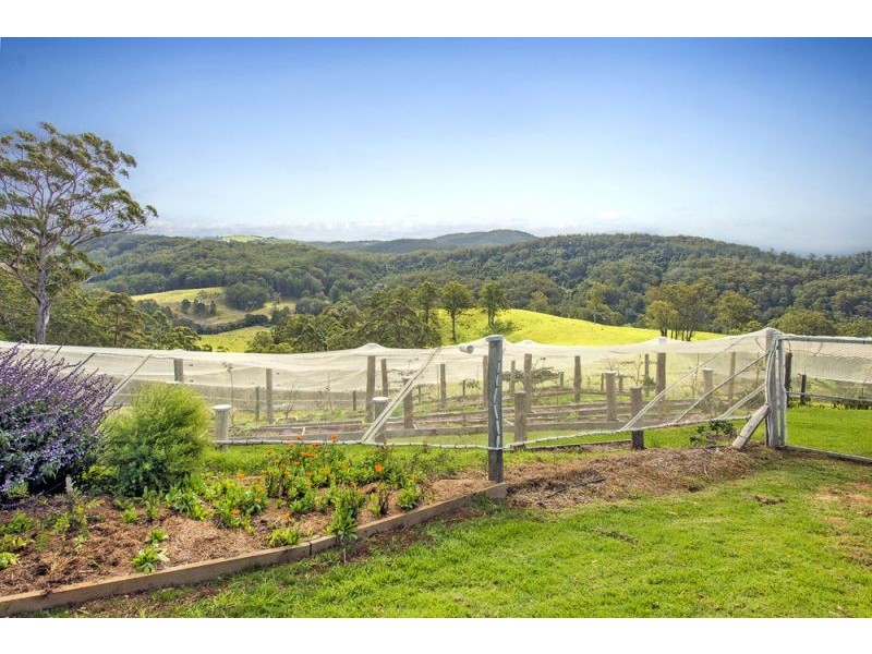 180 Johnsens Road, Dorrigo NSW 2453