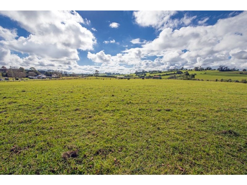 627 Tyringham Road, Dorrigo NSW 2453