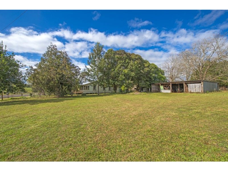 627 Tyringham Road, Dorrigo NSW 2453