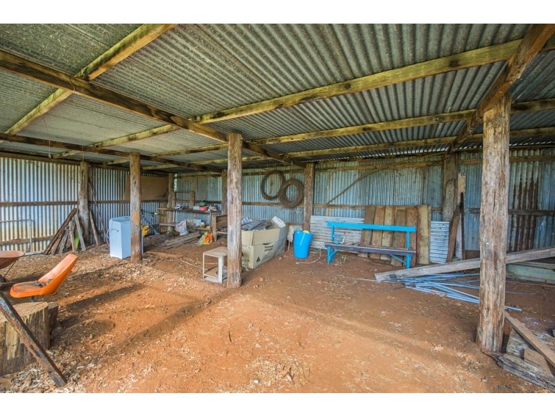 627 Tyringham Road, Dorrigo NSW 2453