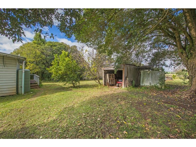 627 Tyringham Road, Dorrigo NSW 2453