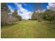 627 Tyringham Road, Dorrigo NSW 2453