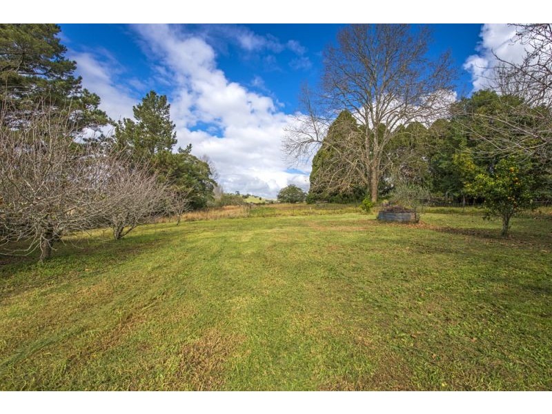 627 Tyringham Road, Dorrigo NSW 2453