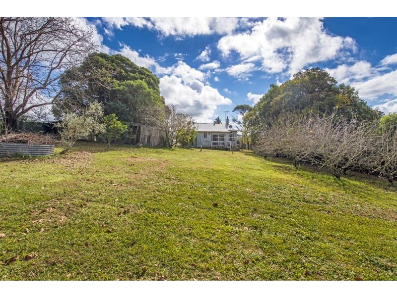 627 Tyringham Road, Dorrigo NSW 2453