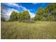 627 Tyringham Road, Dorrigo NSW 2453