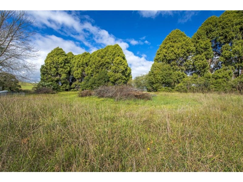 627 Tyringham Road, Dorrigo NSW 2453