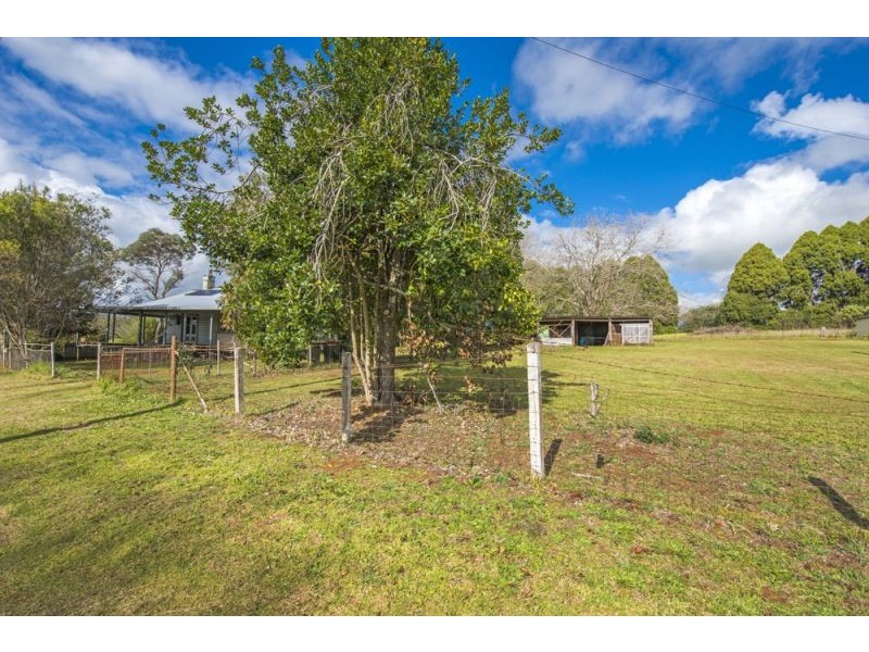 627 Tyringham Road, Dorrigo NSW 2453