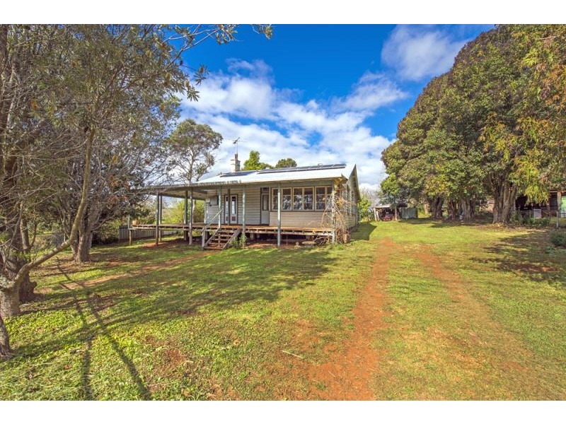 627 Tyringham Road, Dorrigo NSW 2453