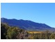 10 Darkwood Road, Thora, Bellingen NSW 2454