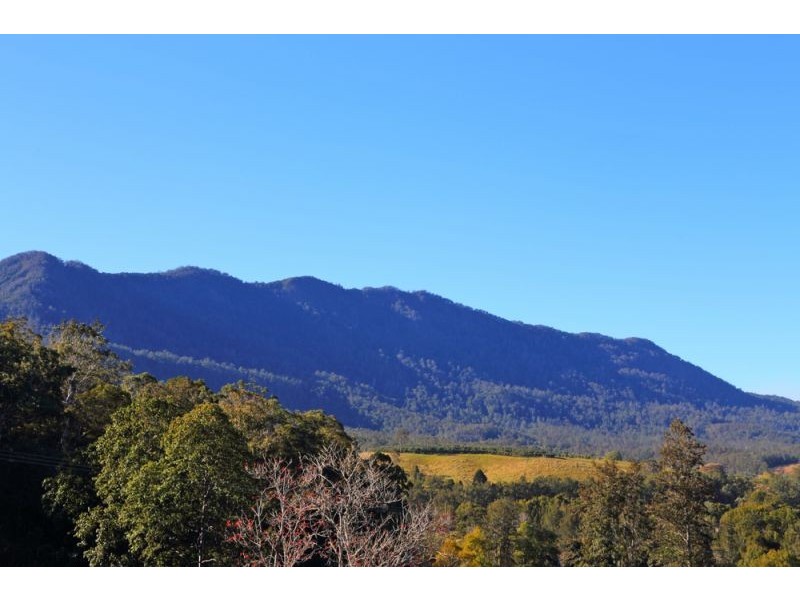 10 Darkwood Road, Thora, Bellingen NSW 2454