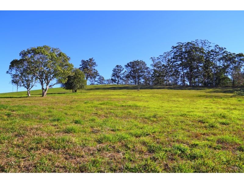 10 Darkwood Road, Thora, Bellingen NSW 2454