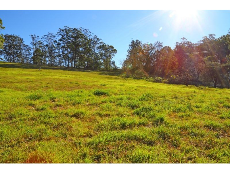 10 Darkwood Road, Thora, Bellingen NSW 2454