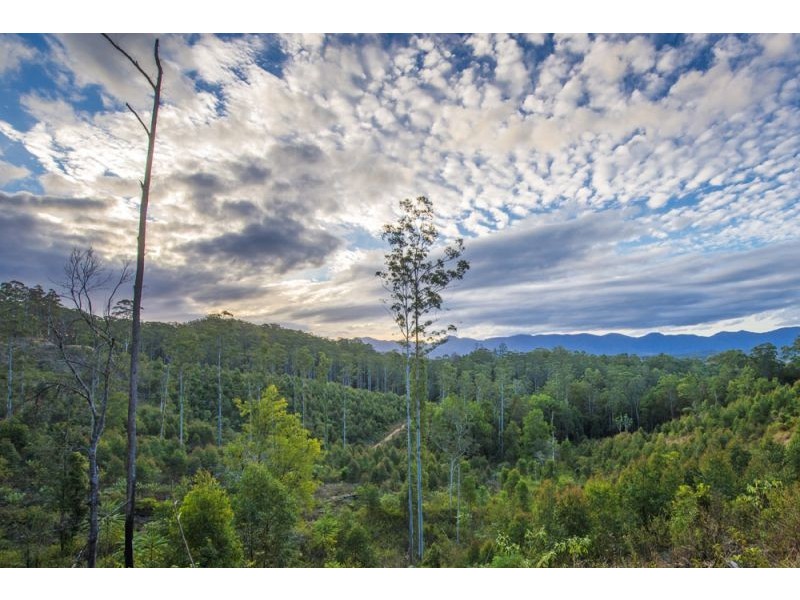 Lot 11 Bowraville Road, Bellingen NSW 2454