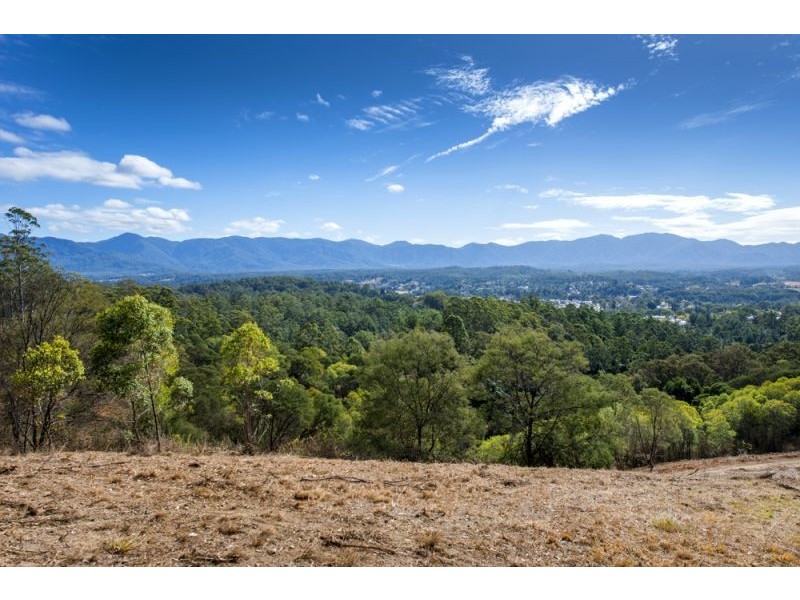 Lot 11 Bowraville Road, Bellingen NSW 2454