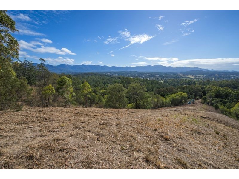 Lot 11 Bowraville Road, Bellingen NSW 2454