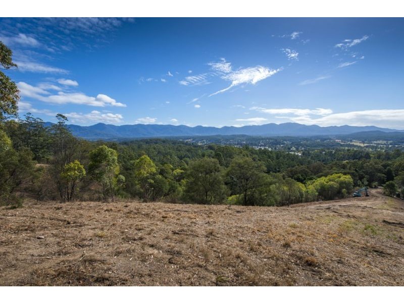 Lot 11 Bowraville Road, Bellingen NSW 2454