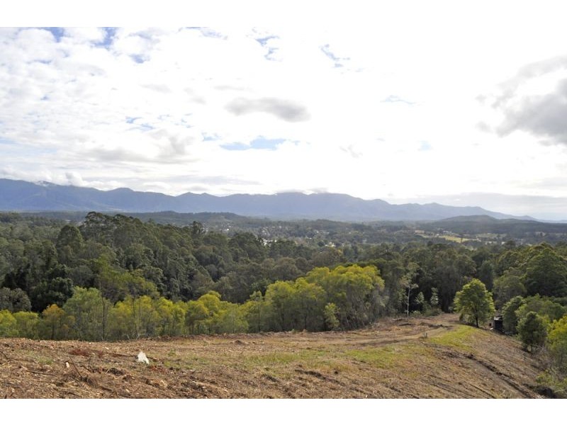 Lot 11 Bowraville Road, Bellingen NSW 2454