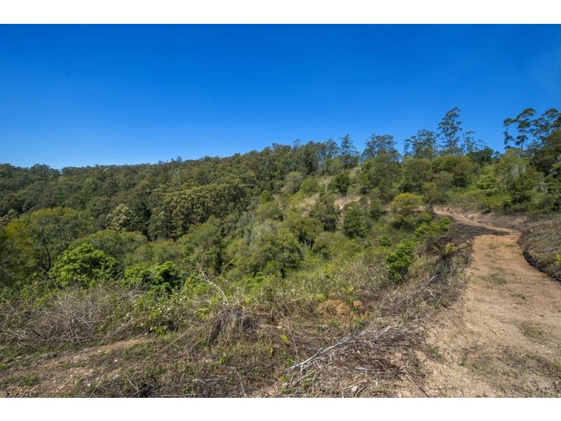Lot 11 Bowraville Road, Bellingen NSW 2454