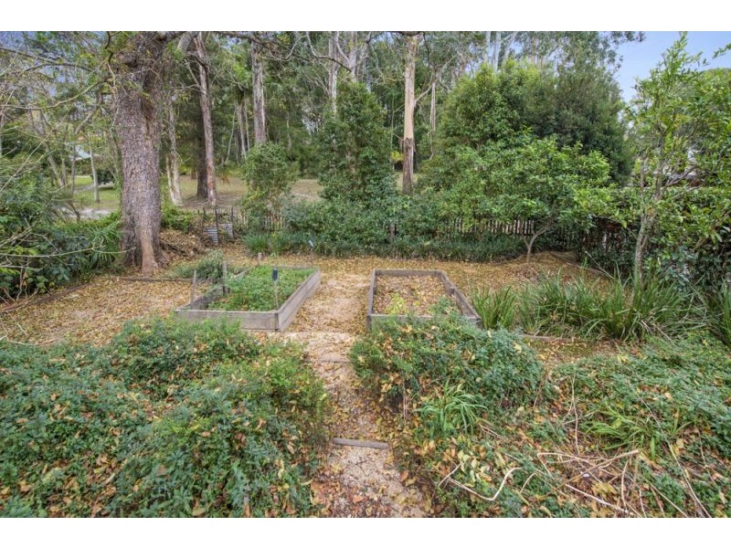 1 Park Street, Bellingen NSW 2454