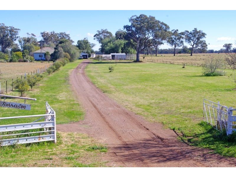 808 Oakey Creek Road, Piallaway NSW 2342