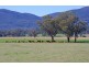 808 Oakey Creek Road, Piallaway NSW 2342