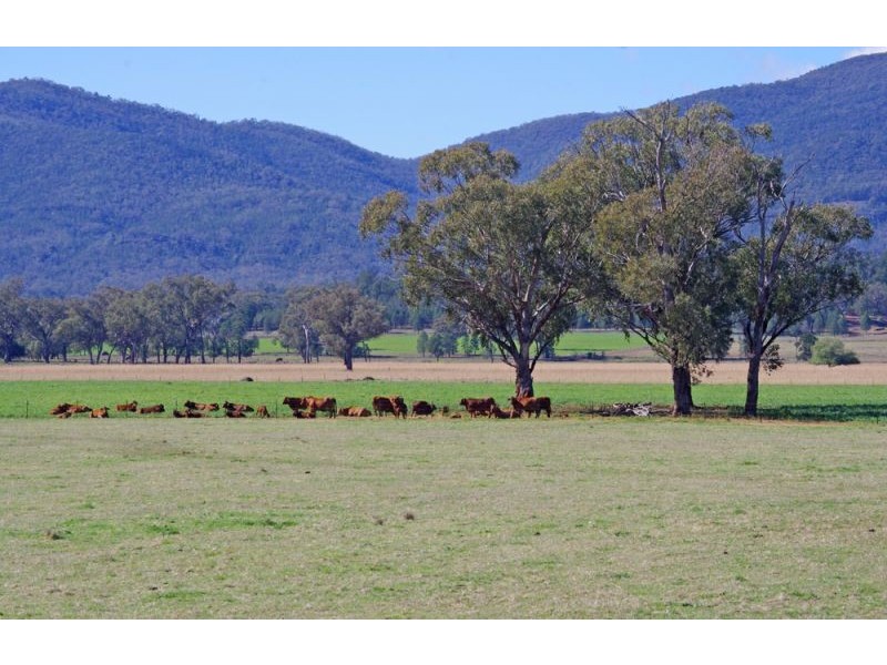 808 Oakey Creek Road, Piallaway NSW 2342