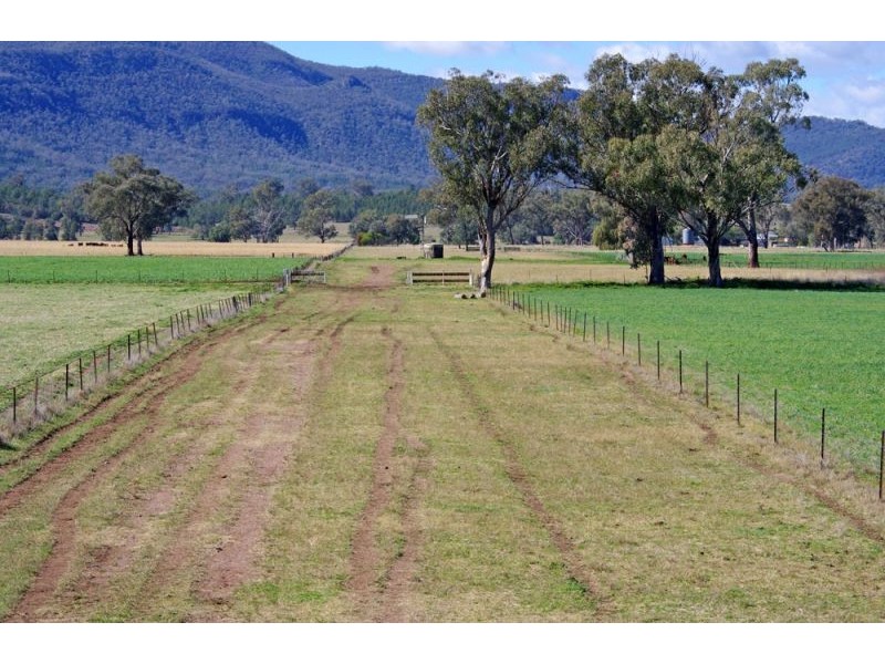 808 Oakey Creek Road, Piallaway NSW 2342