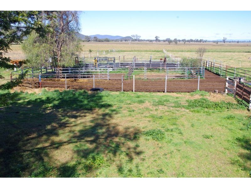 808 Oakey Creek Road, Piallaway NSW 2342