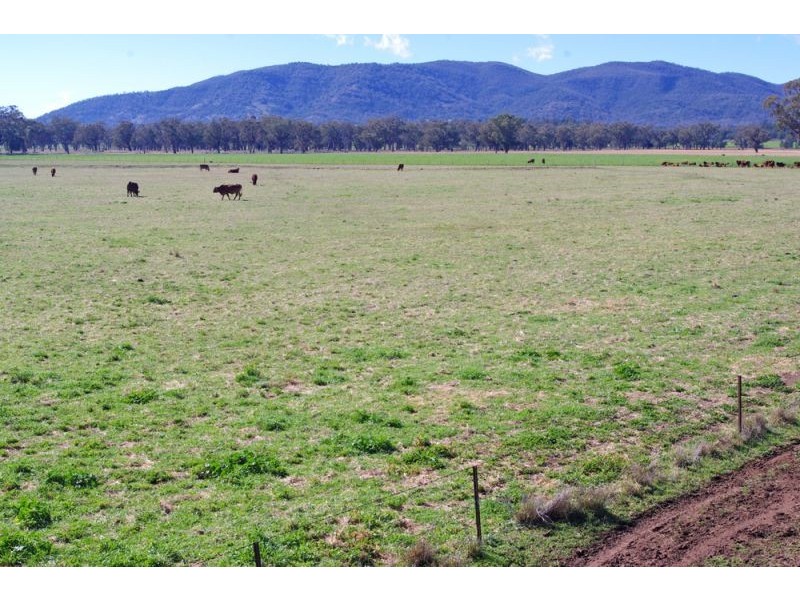 808 Oakey Creek Road, Piallaway NSW 2342