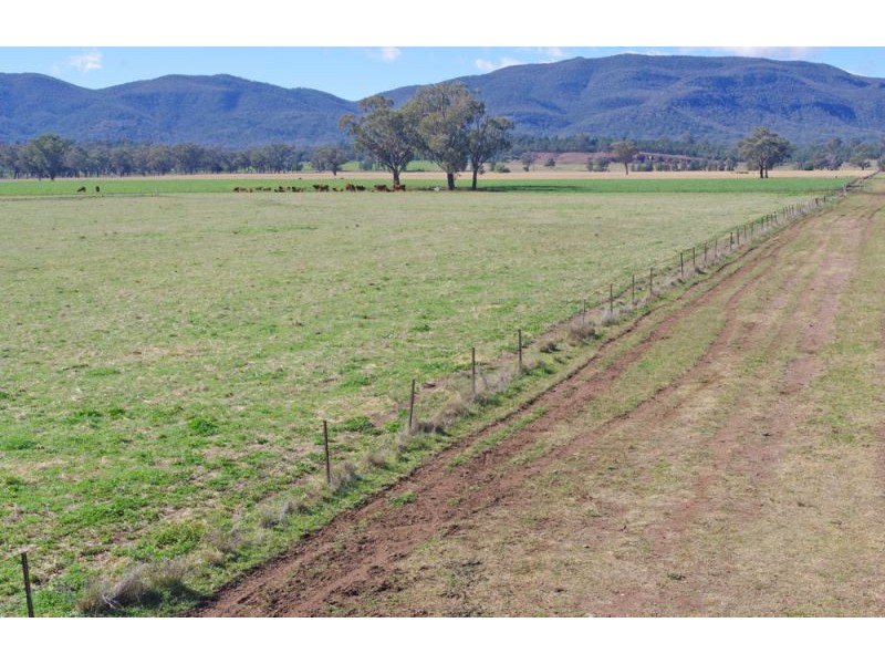 808 Oakey Creek Road, Piallaway NSW 2342