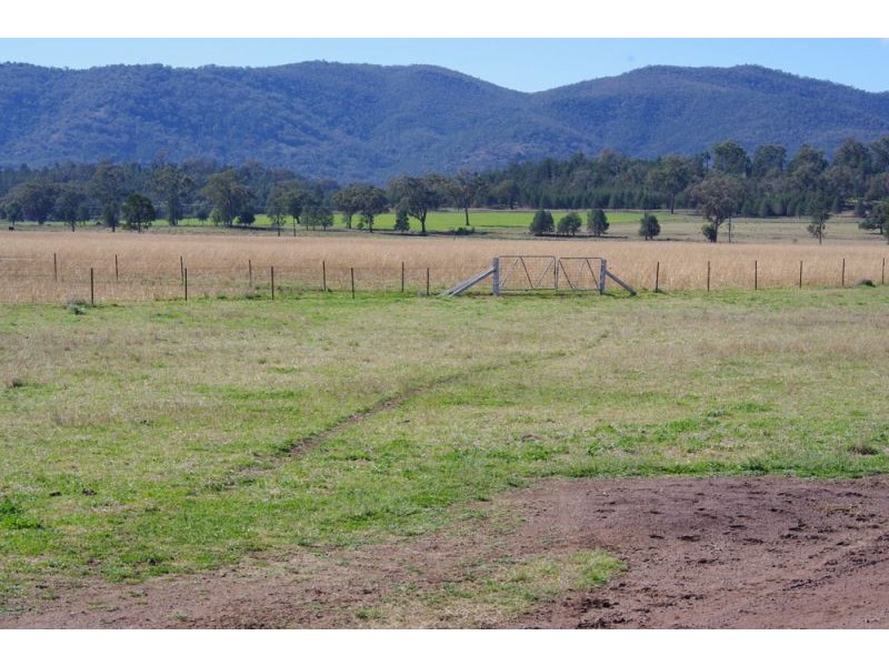 808 Oakey Creek Road, Piallaway NSW 2342