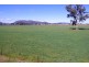 808 Oakey Creek Road, Piallaway NSW 2342