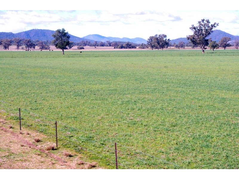 808 Oakey Creek Road, Piallaway NSW 2342