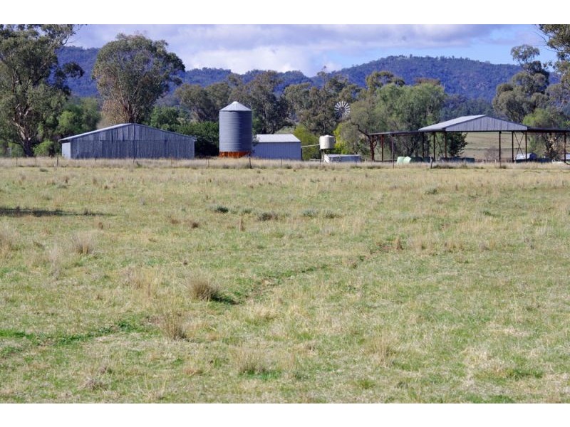 808 Oakey Creek Road, Piallaway NSW 2342