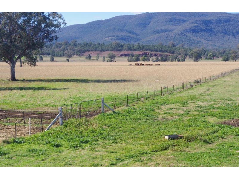 808 Oakey Creek Road, Piallaway NSW 2342