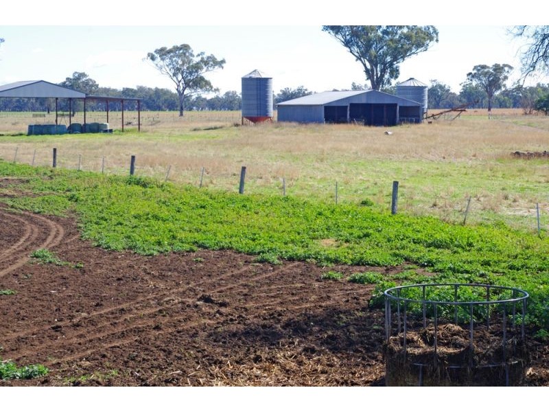 808 Oakey Creek Road, Piallaway NSW 2342