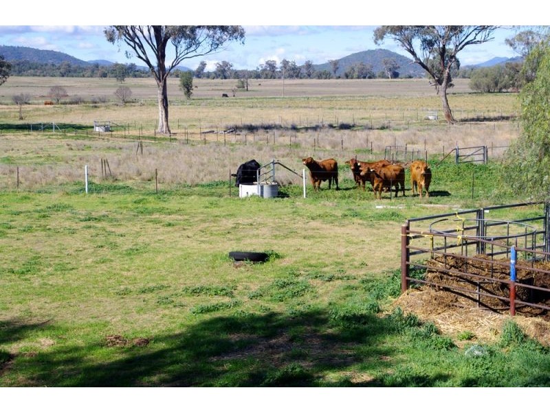 808 Oakey Creek Road, Piallaway NSW 2342