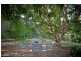 622 Wilsons Creek Road, Wilsons Creek NSW 2482