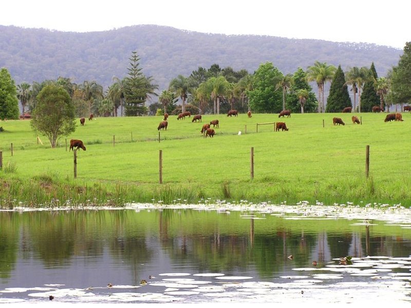 1490 Bucca Road, Nana Glen NSW 2450