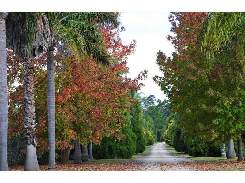 1490 Bucca Road, Nana Glen NSW 2450