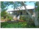 1 Vine Street, Dorrigo NSW 2453