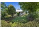 1 Vine Street, Dorrigo NSW 2453
