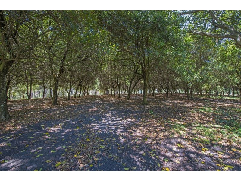 199 Osprey Drive, Urunga NSW 2455