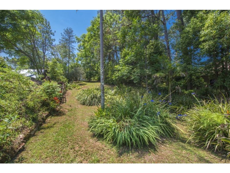 40 Wheatley Street, Bellingen NSW 2454