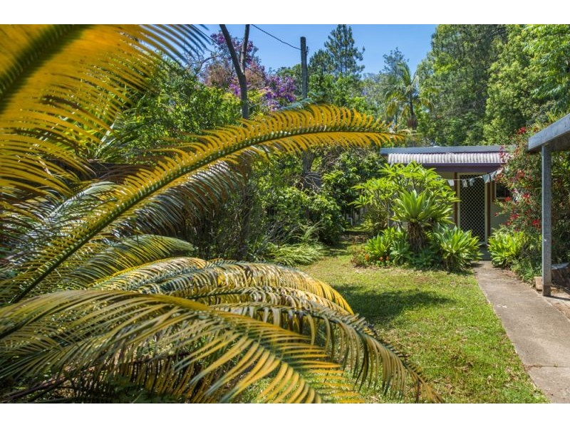 40 Wheatley Street, Bellingen NSW 2454